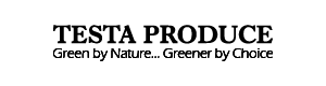 Testa Produce